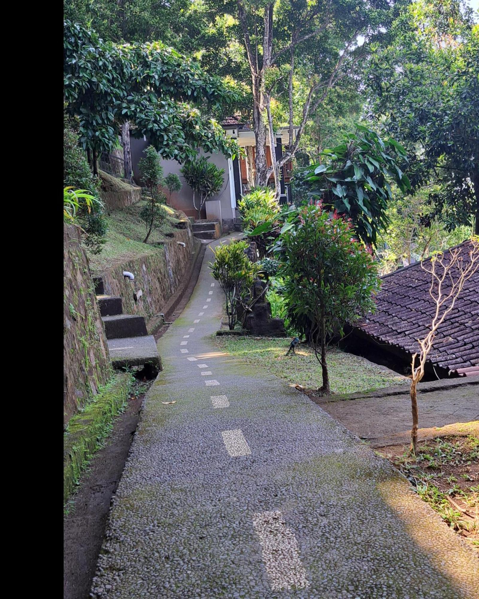 Bali Rahayu Homestay Munduk Exterior foto