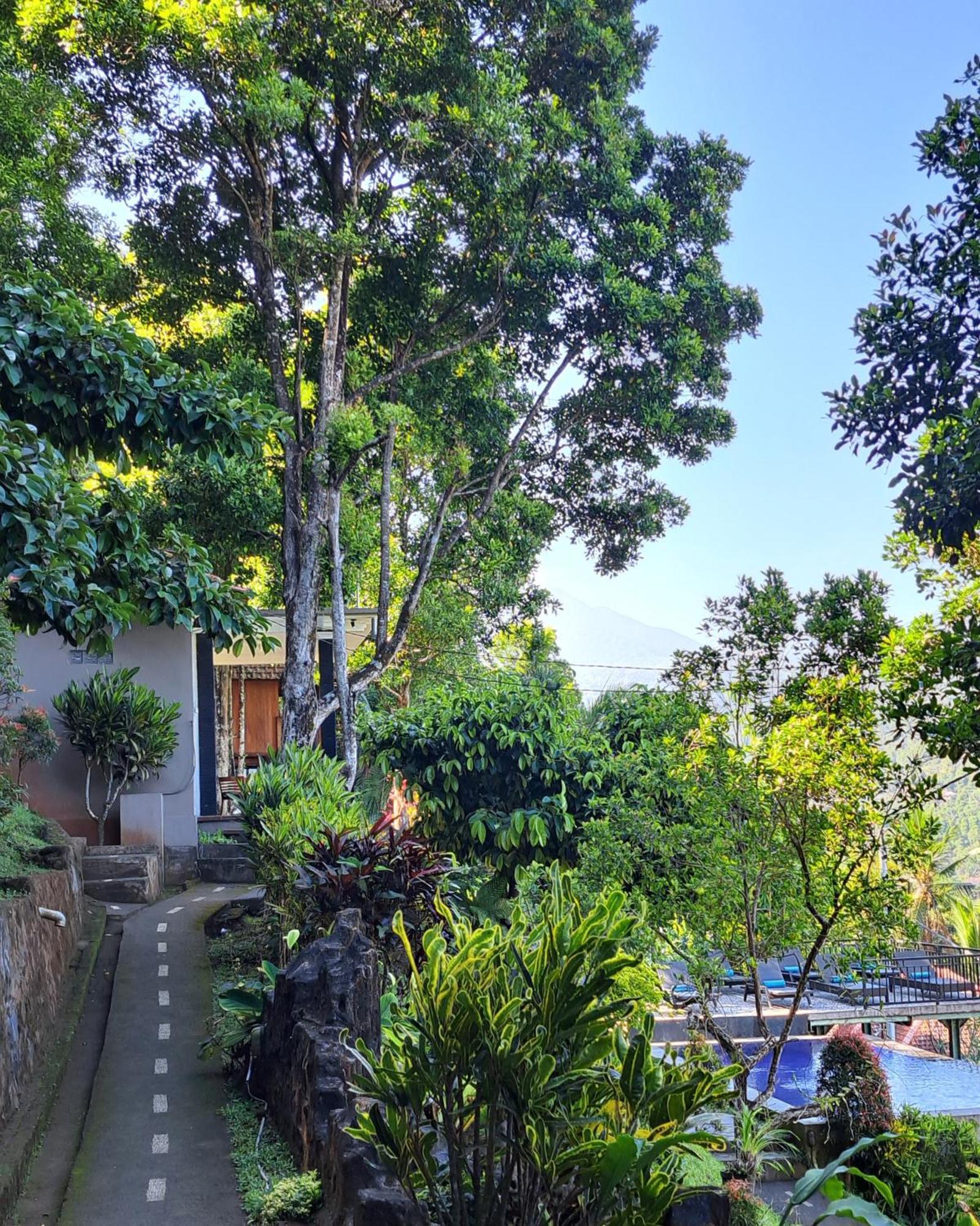 Bali Rahayu Homestay Munduk Exterior foto