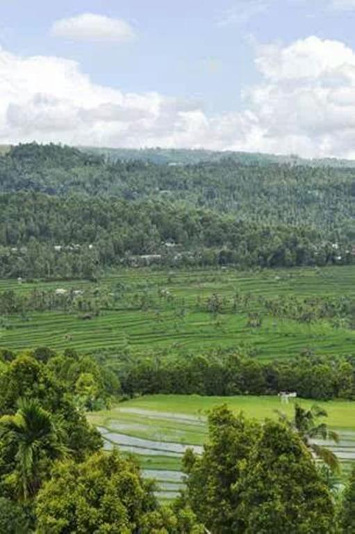 Bali Rahayu Homestay Munduk Exterior foto